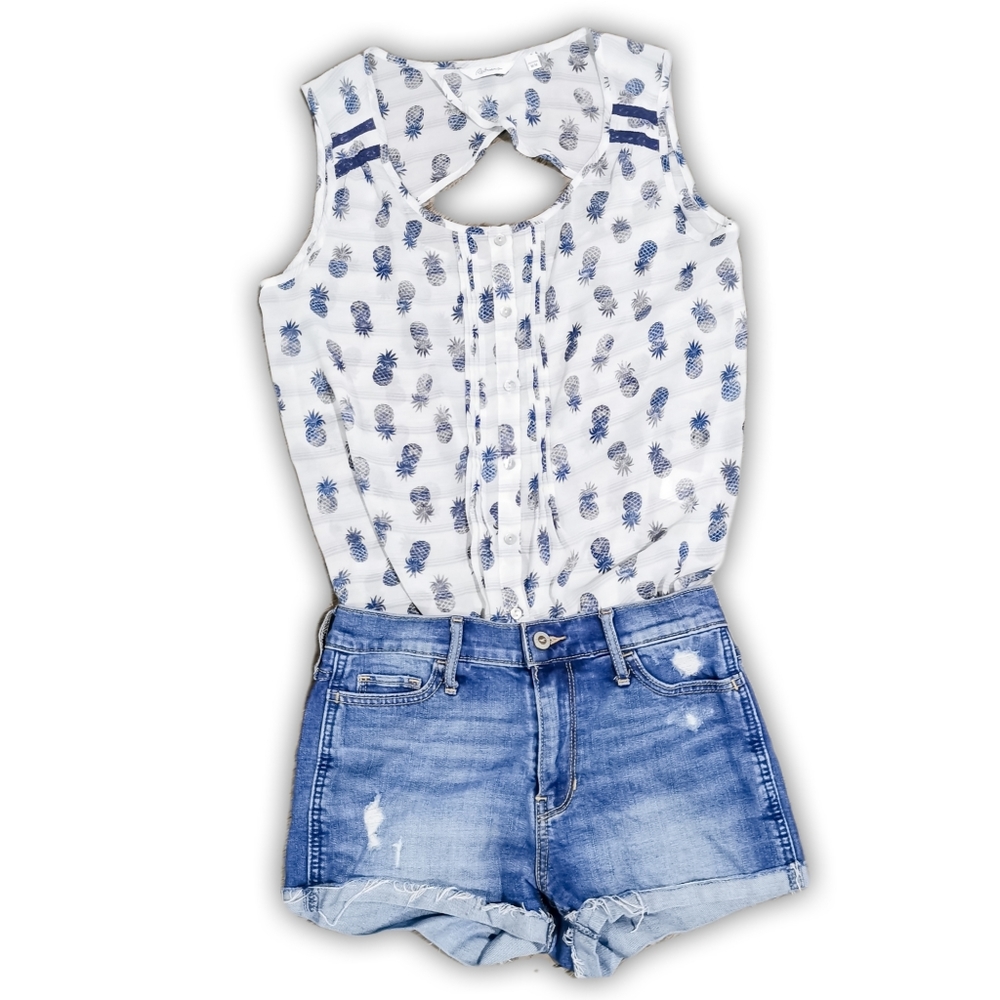 Reitmans Sleeveless Sheer Pineapple top